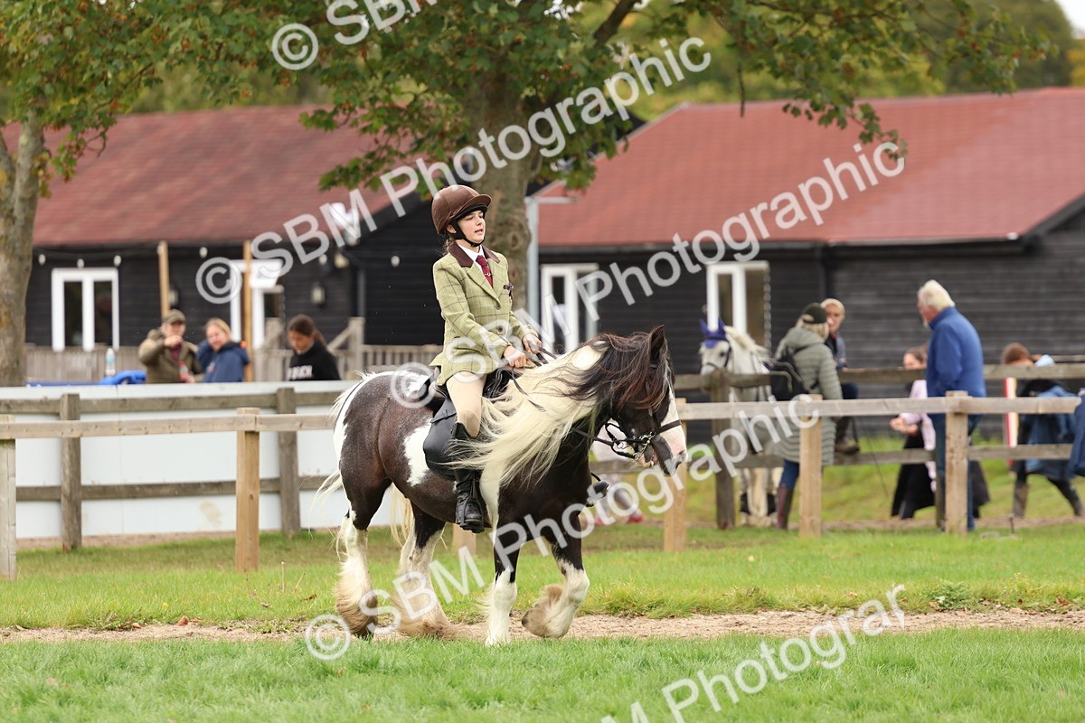 SBM_64550 - S58 - Coloured Pony Ridden