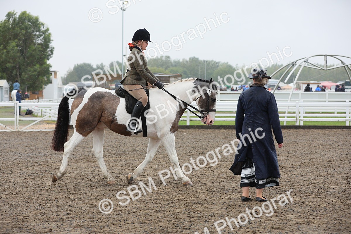 SBM_20609 - Class 804 - Ridden Veteran Pony