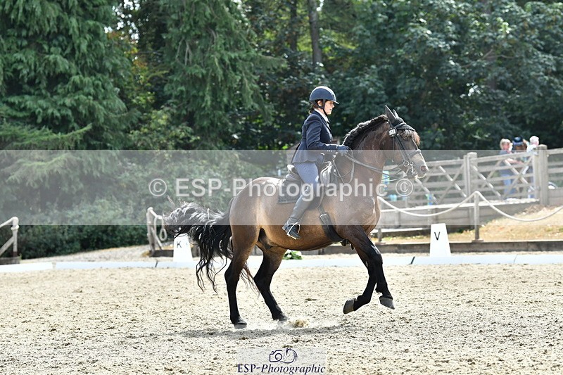260802A-154301-07593 - Intermediate Silver