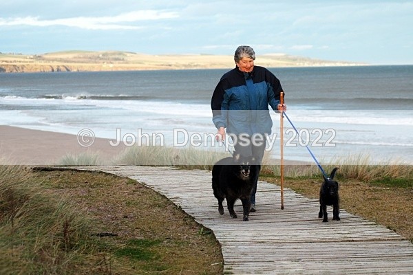 Archie  & Sprout 2 - Walking the Dog