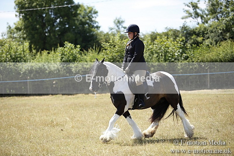 _C7A9892 - BVRC Show 2018 Ring 1