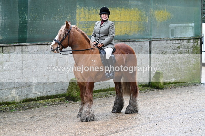 WJ7_8711 - Berks & Bucks - Rowles Farm 15-02-26