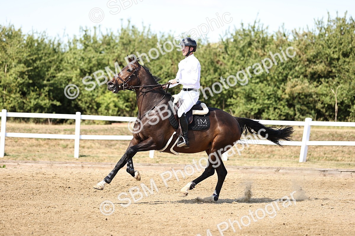 SBM_015353 - Class 16 - Senior foxhunter - 1.20m Open
