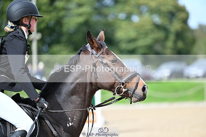 251005A-134028-04128 - Cls 09 Nov 80-85cm