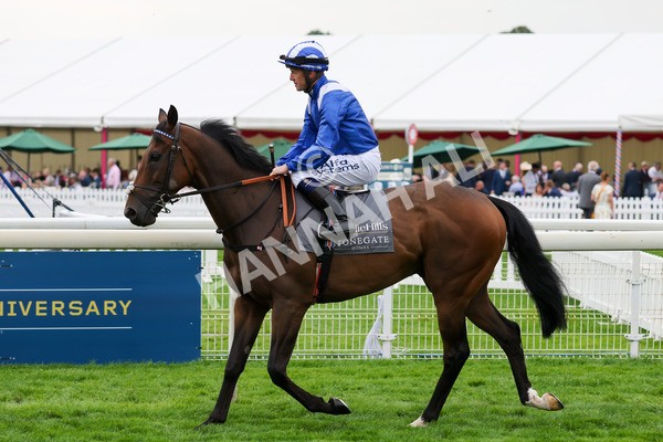 yr20082021r4-9 - Race 4 3.35pm Coolmore Wootton Bassett Nunthorpe Stakes (British Champions Series Race)
