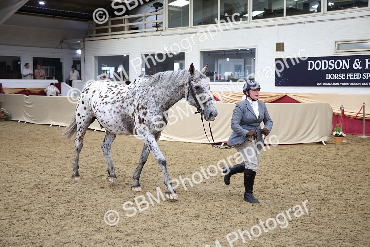 SBM_23413 - Class 904 - Supreme Final Ridden Diamond