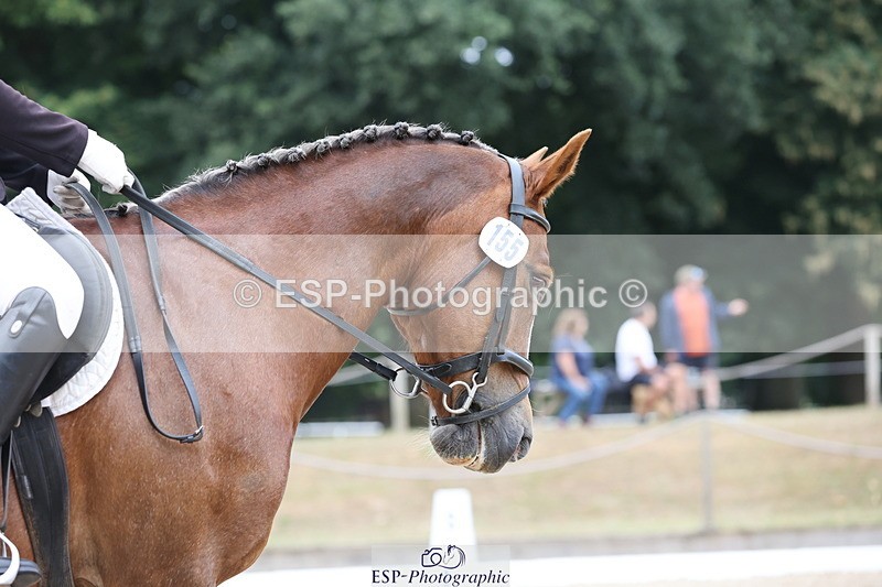 250718A-102058-00534 - 155-Charlotte.Radley-Brohedydd.Marian