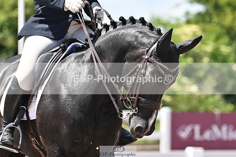 240621A-135120-03788 - Cls 11 BD Medium 73