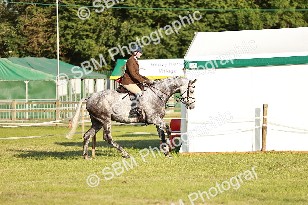 SBM_20451 - Class 117-119 - Sport Horse Working Hunter