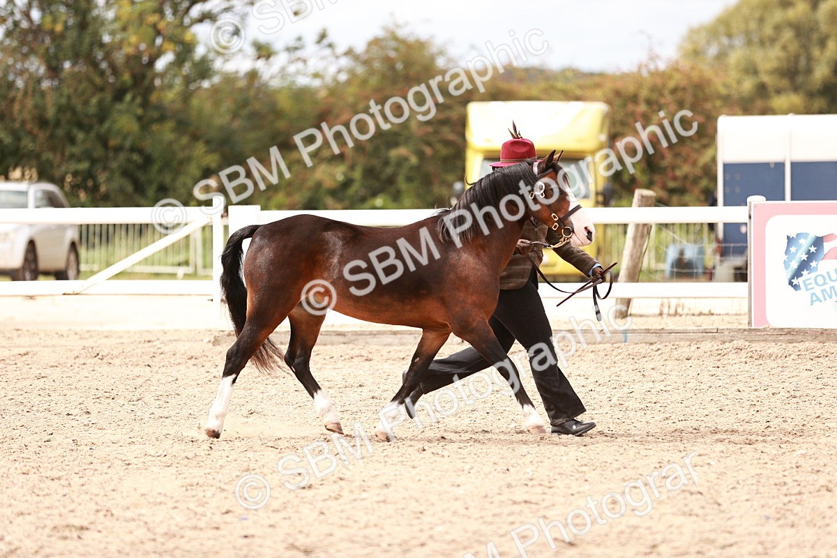 SBM_16309 - Class 413 - Best Condition - Adult