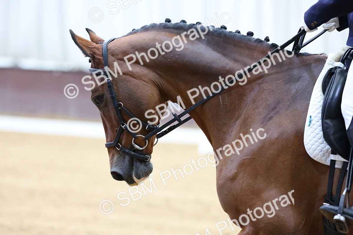 SBM_000804 - Prelim 1
