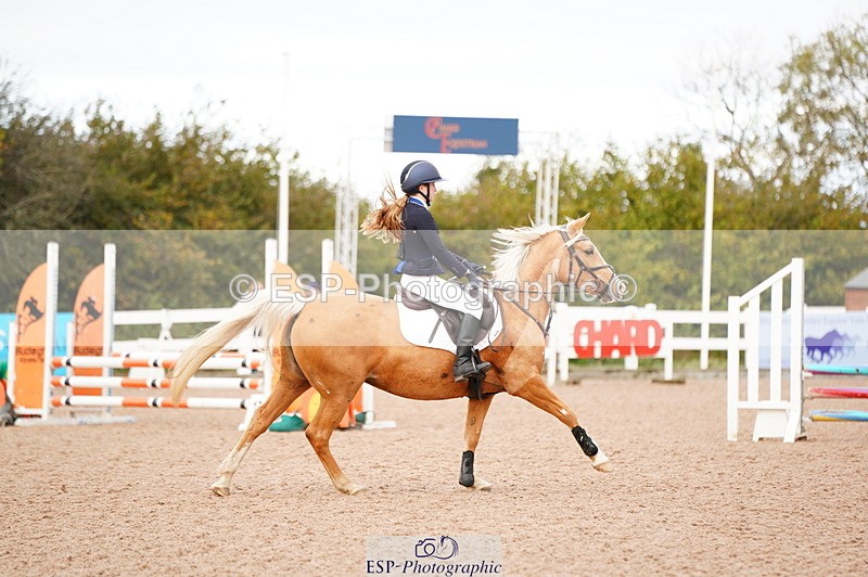 241027A-093606-01831 - SUN Cls 2 Pony Intro 70cm