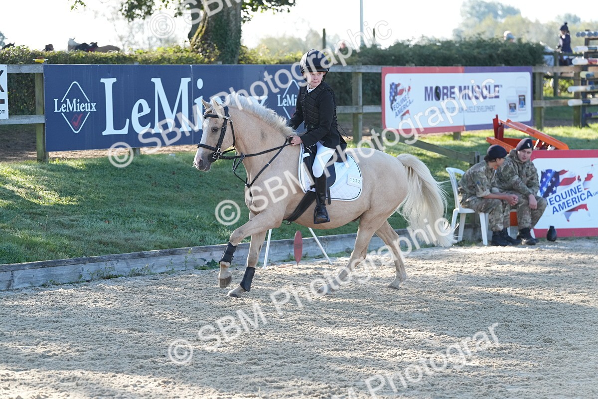 SBM_34418 - J62 - Clear Round 50cm