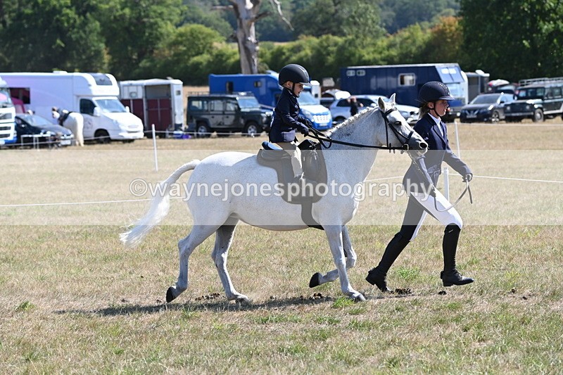 WJ6_7765 - Class 36 Lead Rein