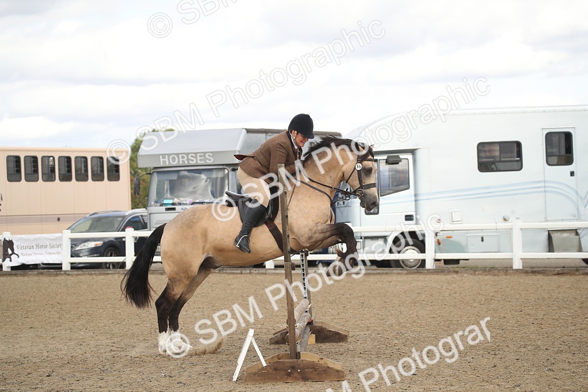 SBM_14565 - Class 505a - M&M Working Veteran - 50cm (15-19)