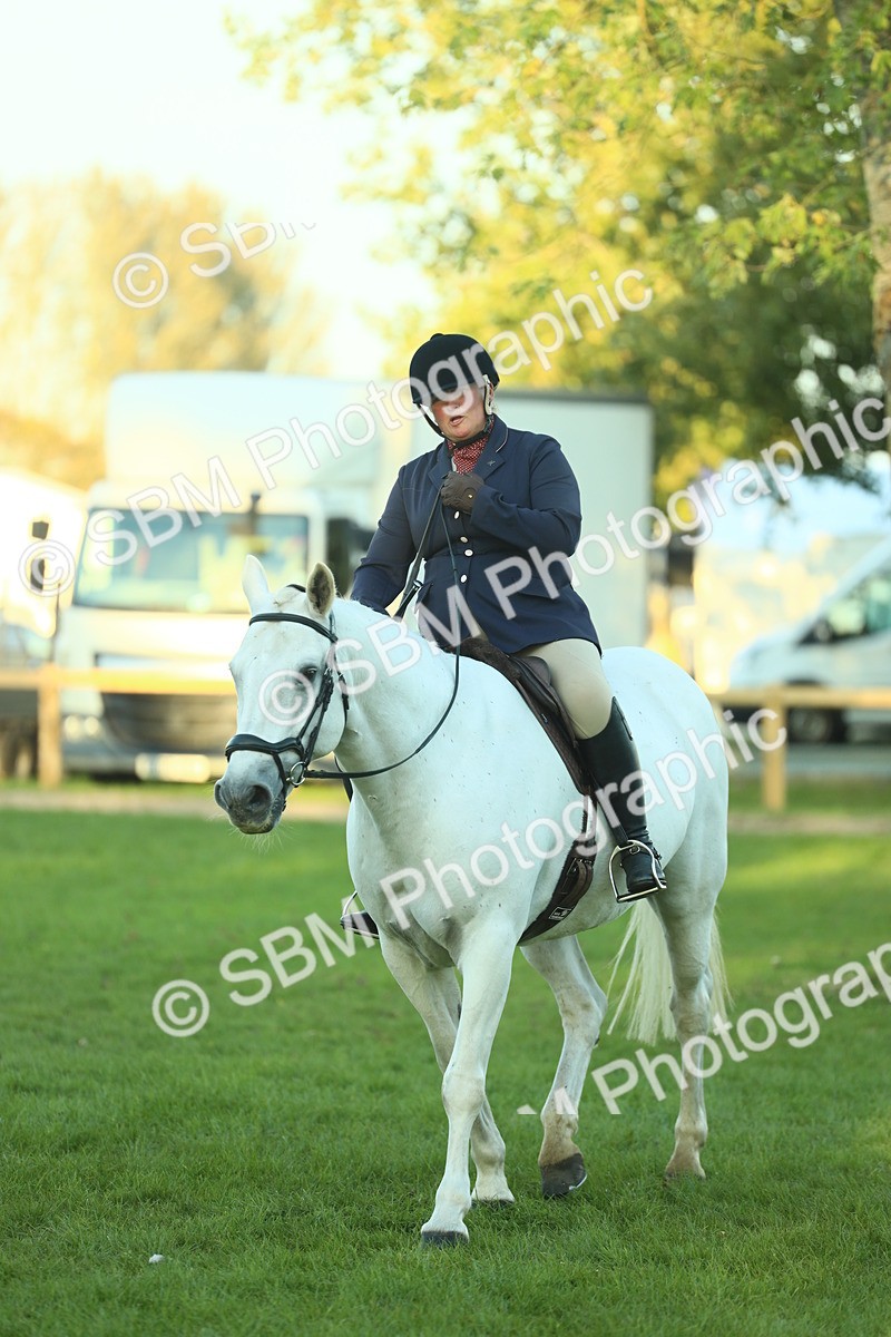 SBM_56442 - S14 - Riding Club Horse