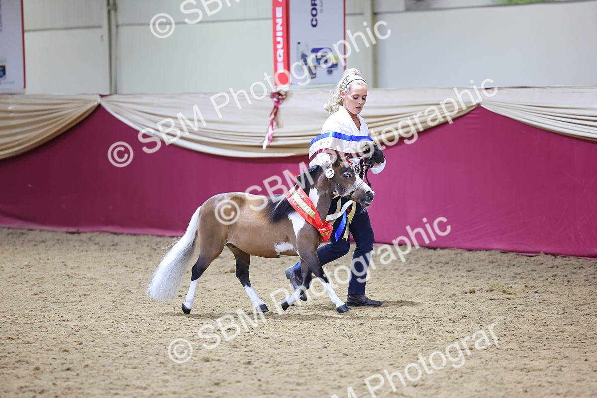 SBM_18705 - Class D IH Pony Champ
