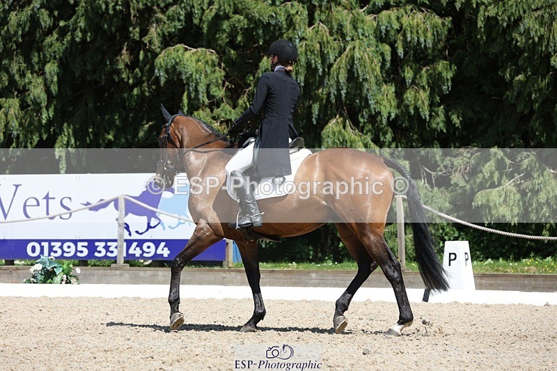 230526-142015-06502 - 373-BENGAL_LORE-Pippa_Taylor-WEDTrotUp+DR