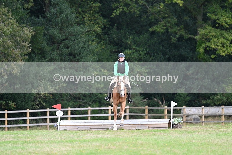 WJ7_7837 - 40cm Time 10:49 to 11:18