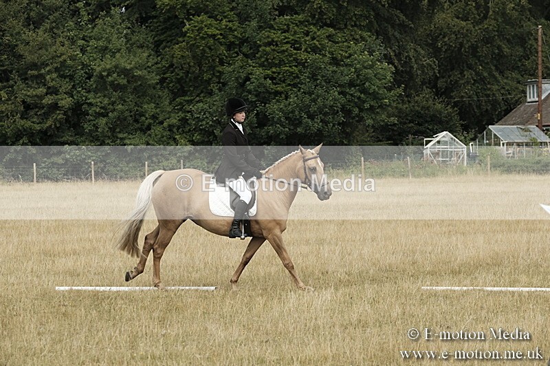 _PJP5734 - Dressage Classes BVRC Show 2018