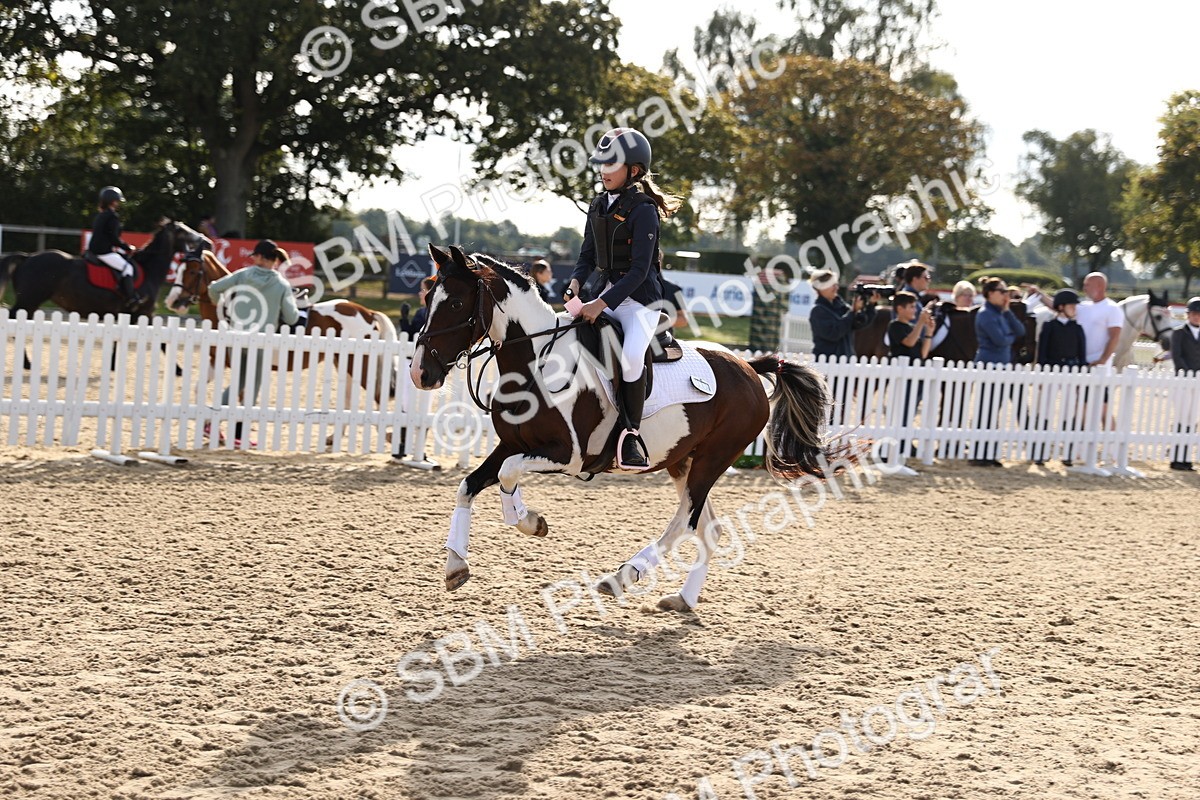 SBM_59795 - J11 - Junior Pony 50cm Championship