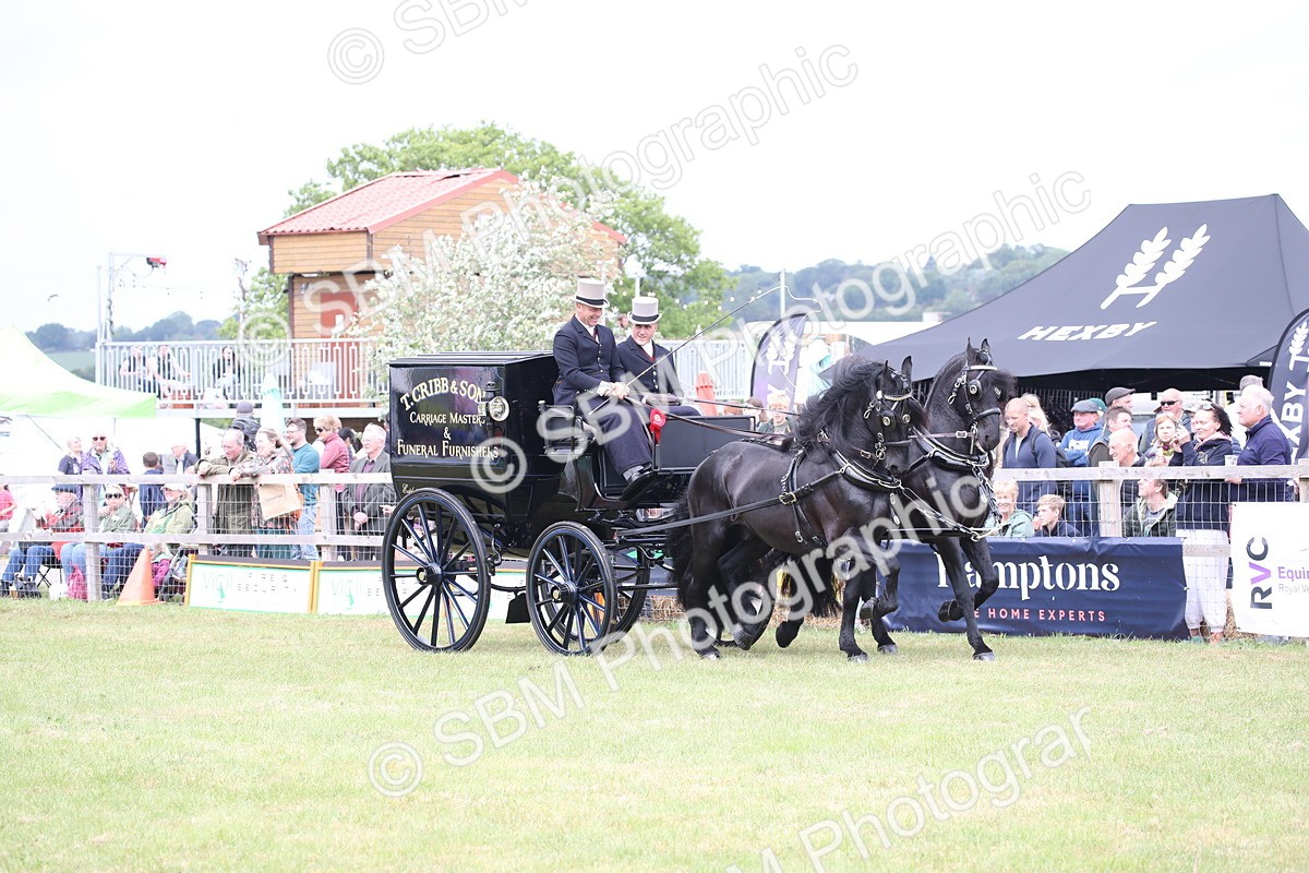 SBM_07064 - Class 16 - Light Trade