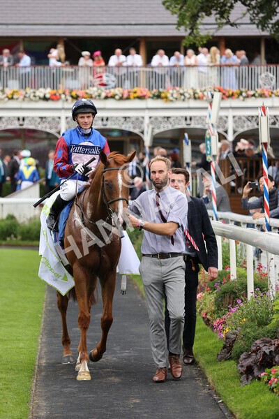 yr19082021r3-49 - Race 3 3.00pm Clipper Logistics Stakes