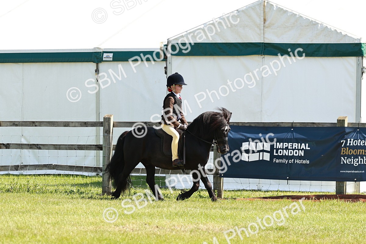 SBM_12855 - Class 106-107 - BSPS LIHS Working Sports Pony
