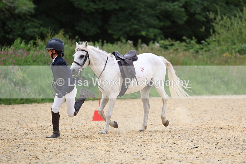 3E7A9677 - Walk trot run