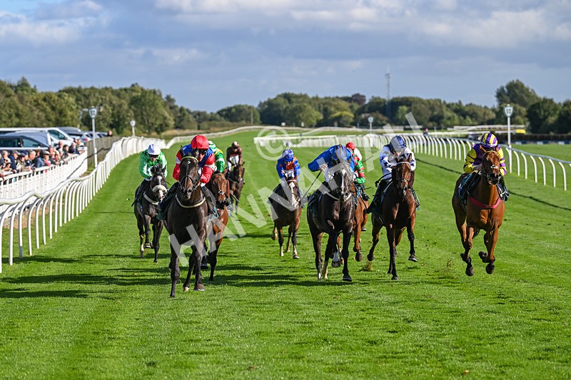 100924-Race 5-Crocodile Power-0431 - Race 5