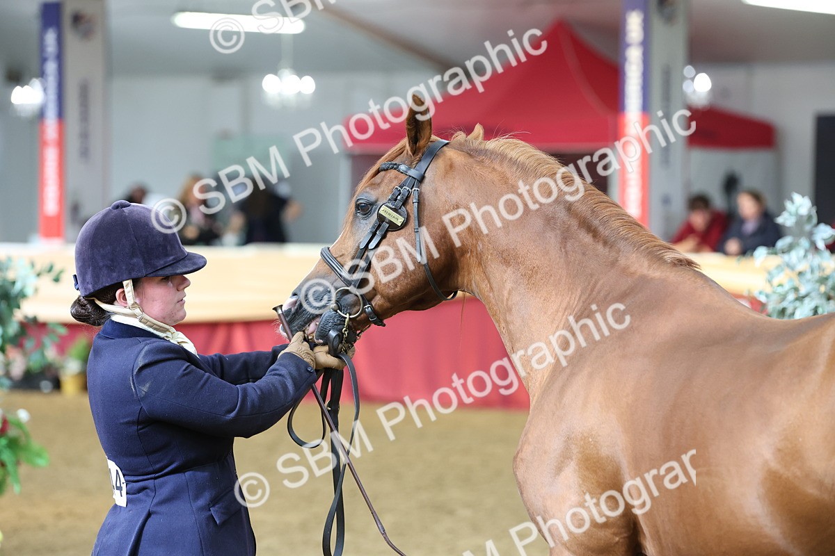 SBM_22549 - Class 902 - Supreme Final - IH Diamond