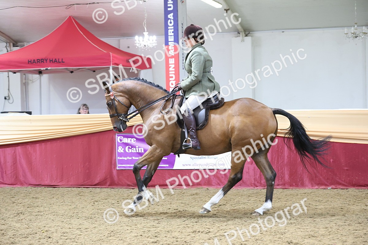 SBM_23816 - class 906 - Supreme Final - Ridden Pre Vet