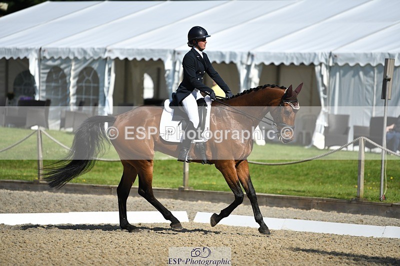 230525-092211-01585 - 304-MADFORD_LAW-Anna_Johannson-WEDTrotUp+DR