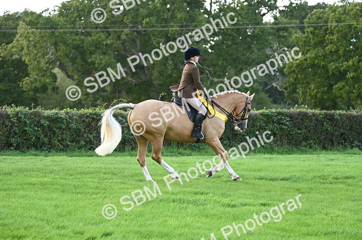 SBM_26511 - S6 - Novice & newcomer Ridden horse