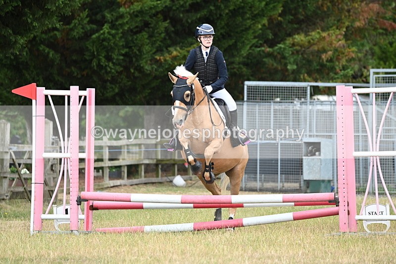 WJ6_9901 - Class 13 Novice Jumping 60cm