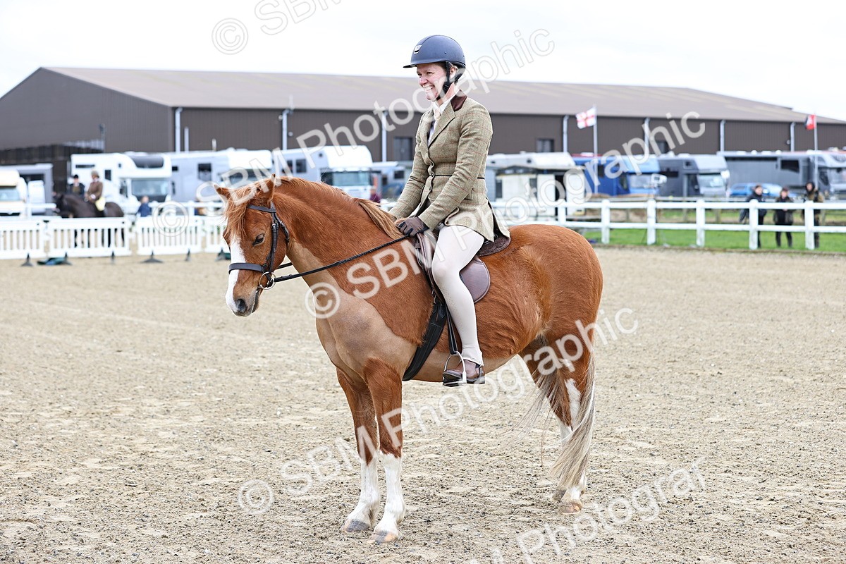 SBM_006811 - Class 29 - 30 - M&M Pure Novice Small-Large Breeds