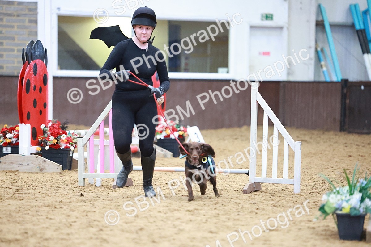 SBM_001732 - Class 3 - Horse & Hound (60cm)