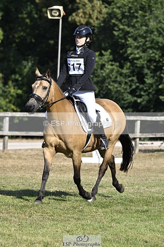 250822A-102641-20238 - DR 10.00 to 11.00