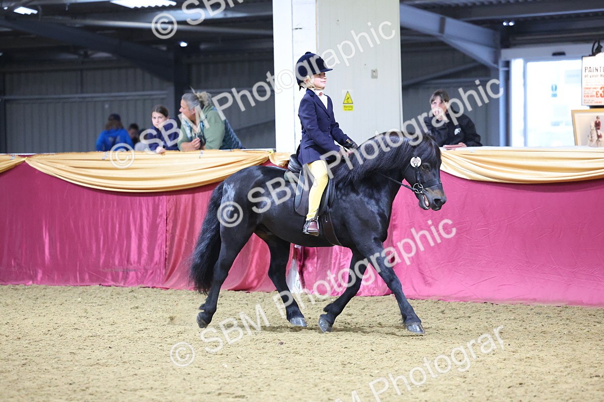 SBM_18995 - Class G Ridden Pony Champ