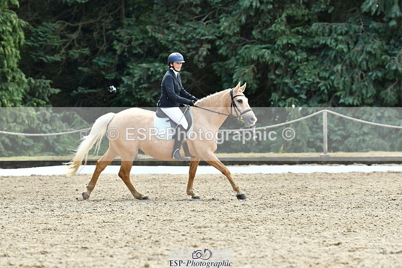 260801A-123647-04013 - Prelim Bronze Break - End