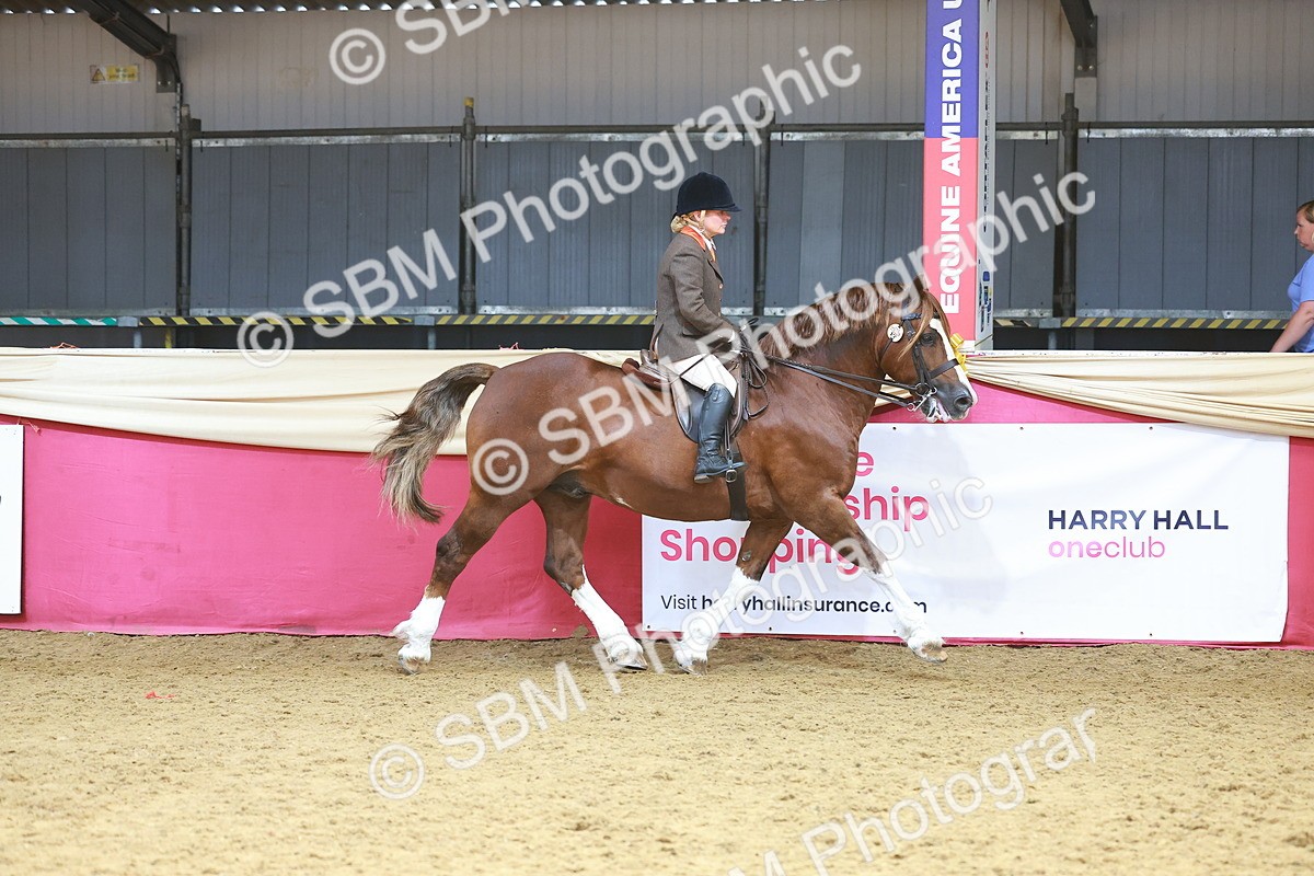 SBM_12436 - Class 103 - HOYS Veteran Qualifier - Ridden Pre Vet