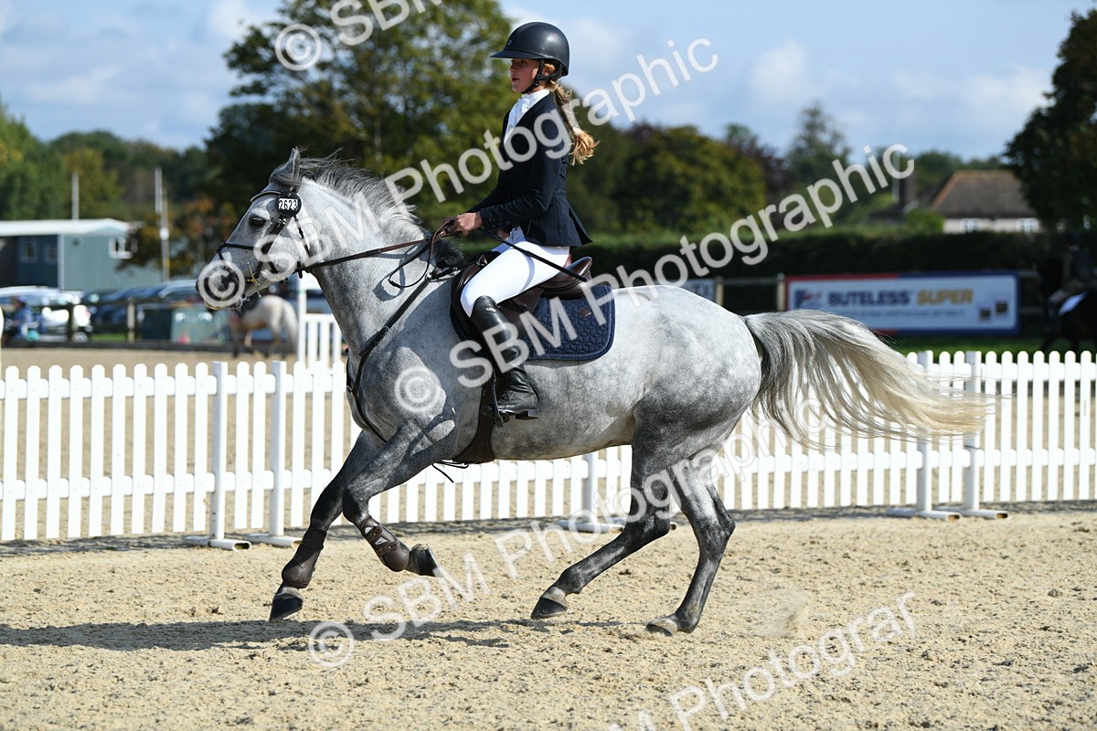 SBM_61656 - j25 - Junior Horse 80cm Championship