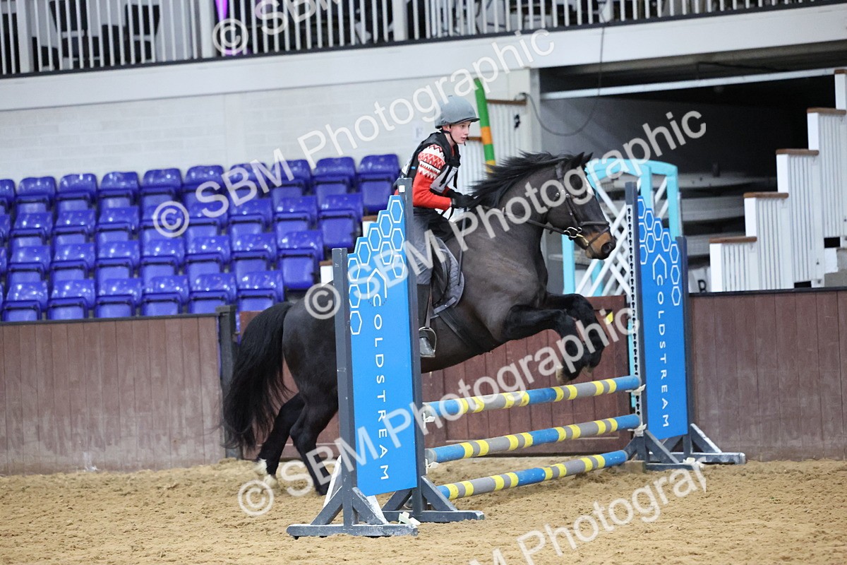 SBM_001174 - Class 3 - Christmas Tree Stakes - 60cm