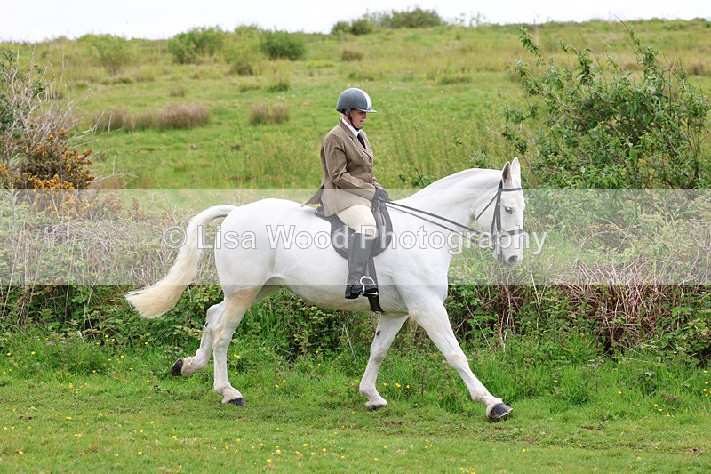 3E7A1211 - Class 7: Ridden Hunter Type