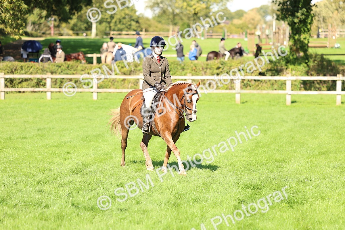 SBM_45430 - S33 - Working Hunter Pony