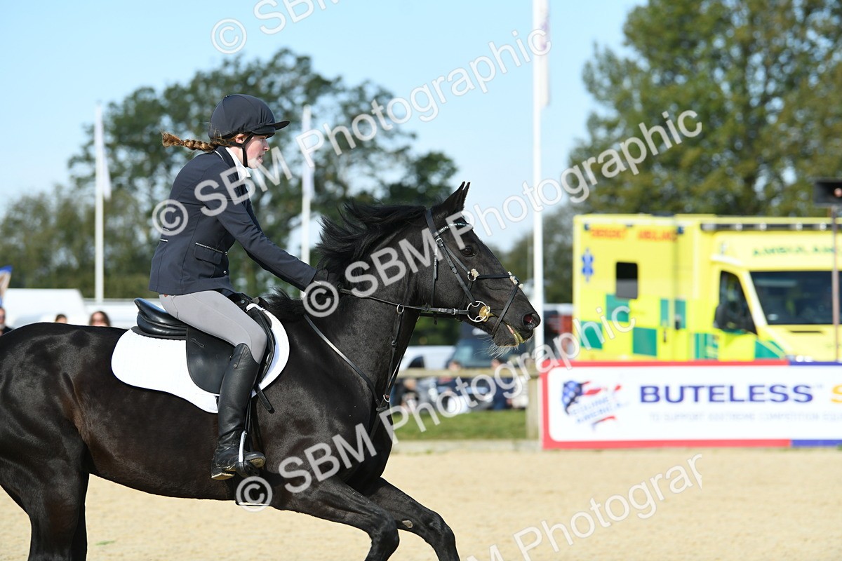 SBM_60577 - j25 - Junior Horse 80cm Championship