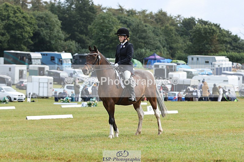 240824X-110700-26850 - D70 Section C and D 9.30 to 11.00