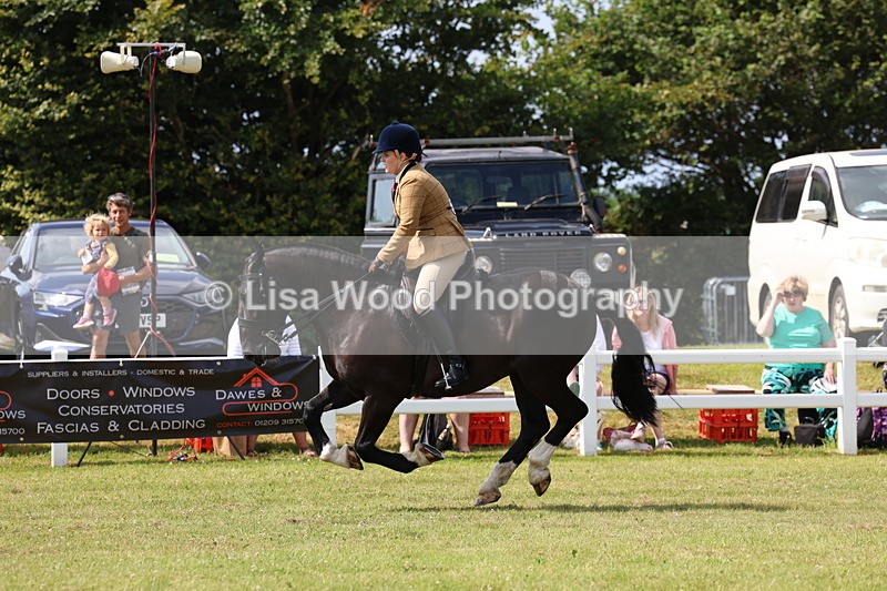 3E7A9829 - Class 5: Rising Star Lightweight/Heavyweight Cobs