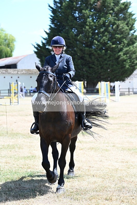 WJ7_2824 - Class 7 Riding Club Show Horse