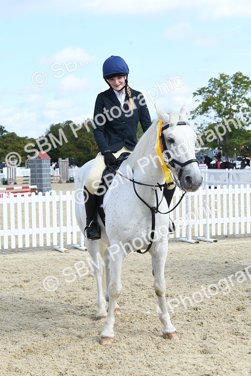 SBM_61800 - j25 - Junior Horse 80cm Championship